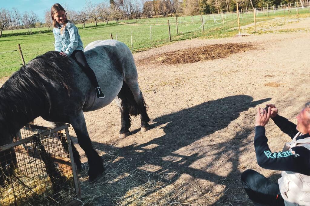 Ferienhof Silbereis Deggenhausertal Zewnętrze zdjęcie